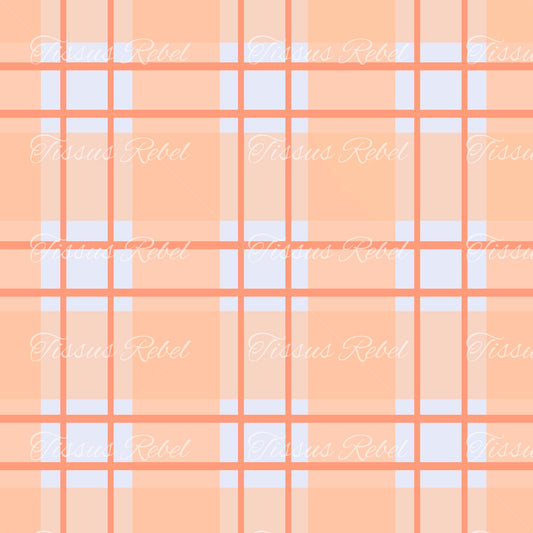 Plaid Corail