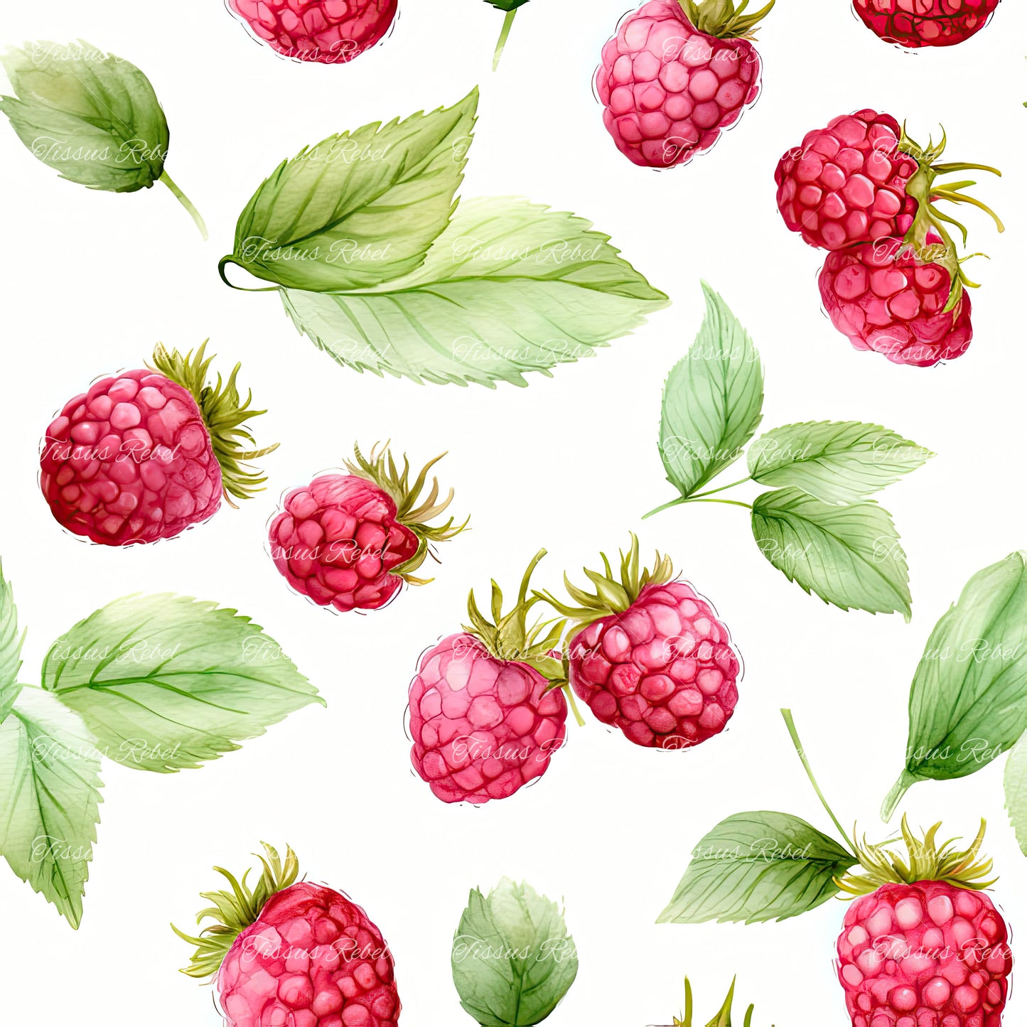 Fruits Framboises