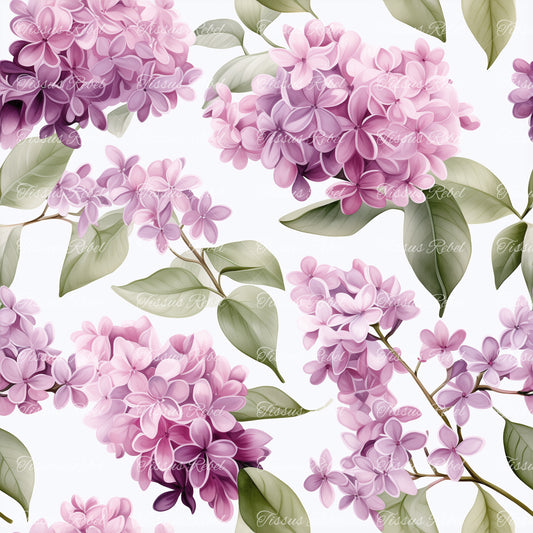 Lilas