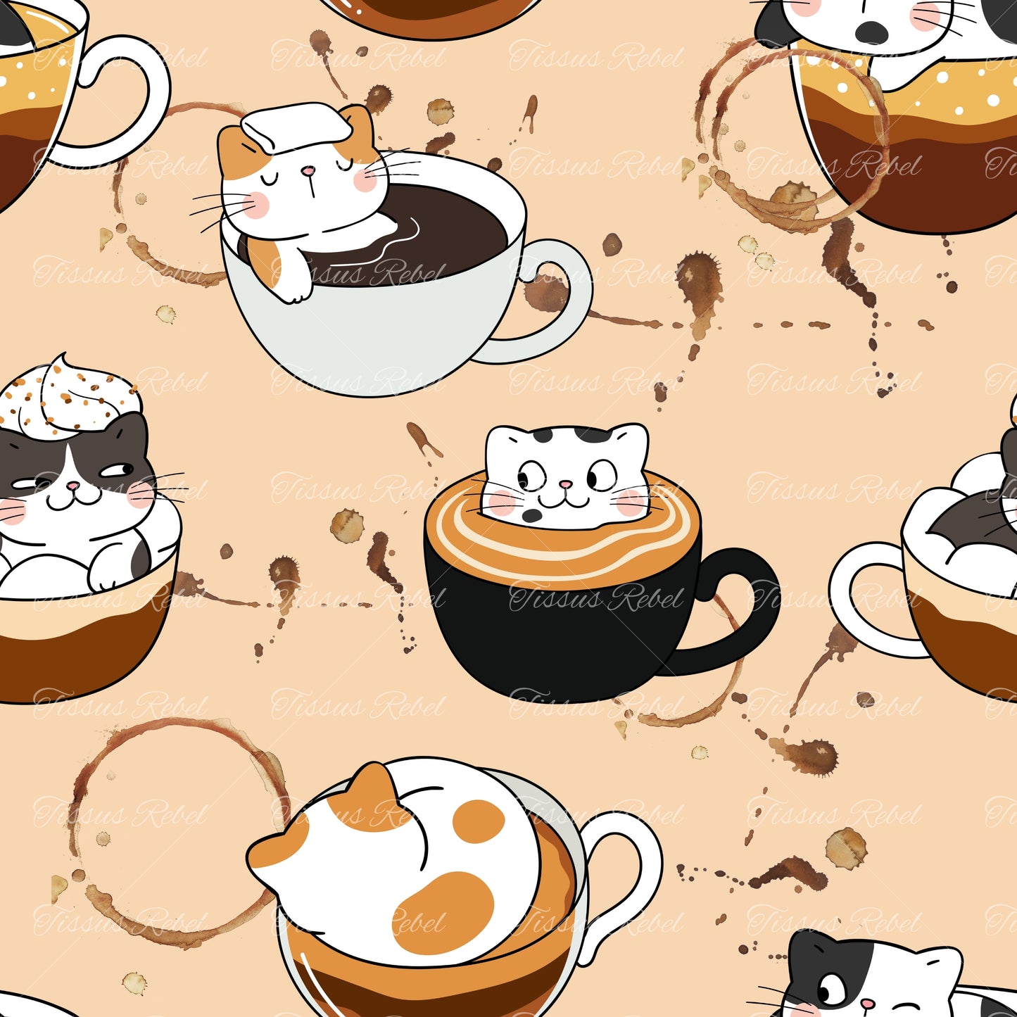 Café chat